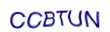 simple_captcha.jpg